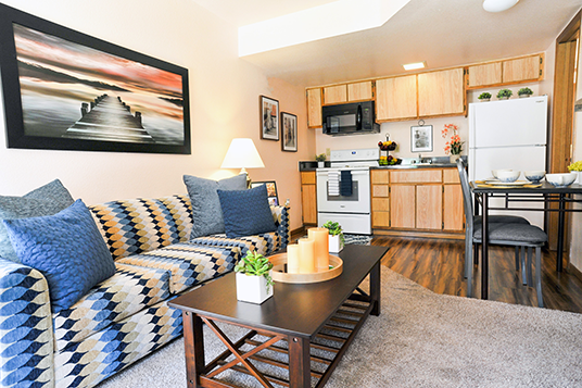 One- and Two-Bedroom Apartments at Budget Suites of America