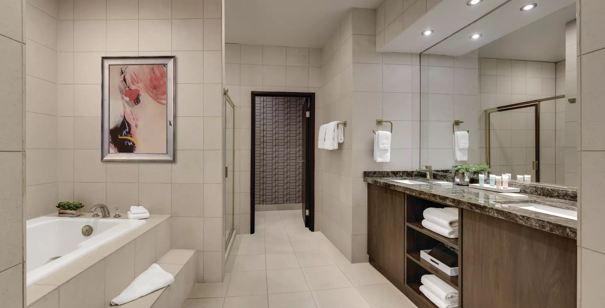 Pyramid Elite Suite — photo 3